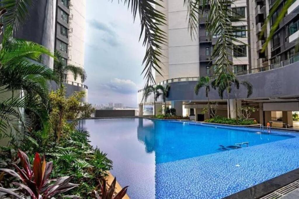 Luxury Penthouse R&f Princess Cove City View Apartment *